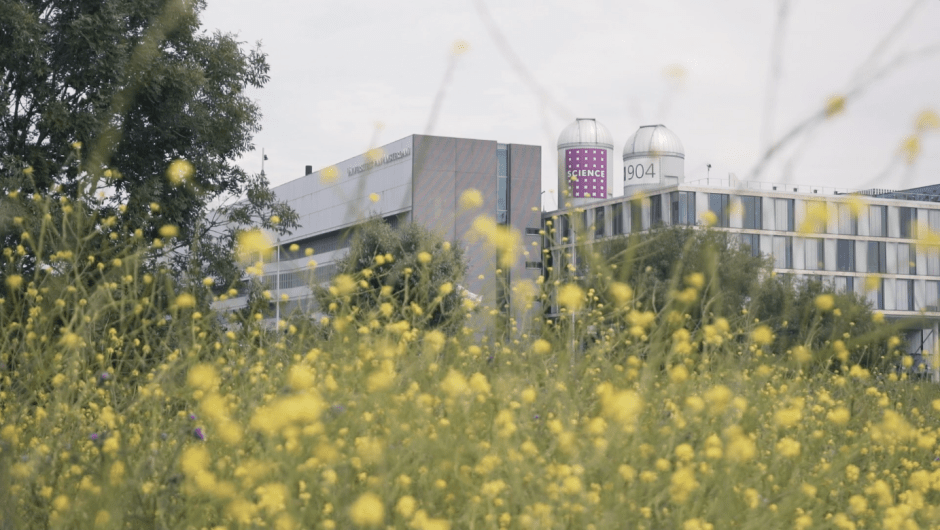View at Science Park from Anna's Tuin en Ruigte 